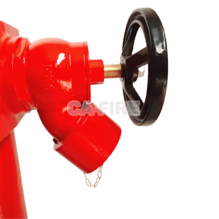 Double Outlet Fire Hydrant