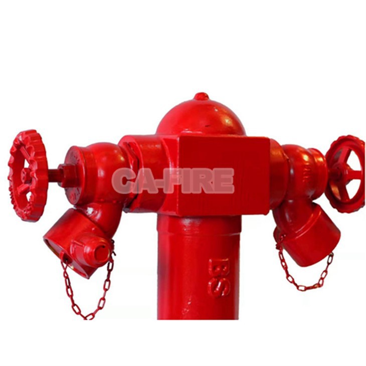 Double Outlet Fire Hydrant