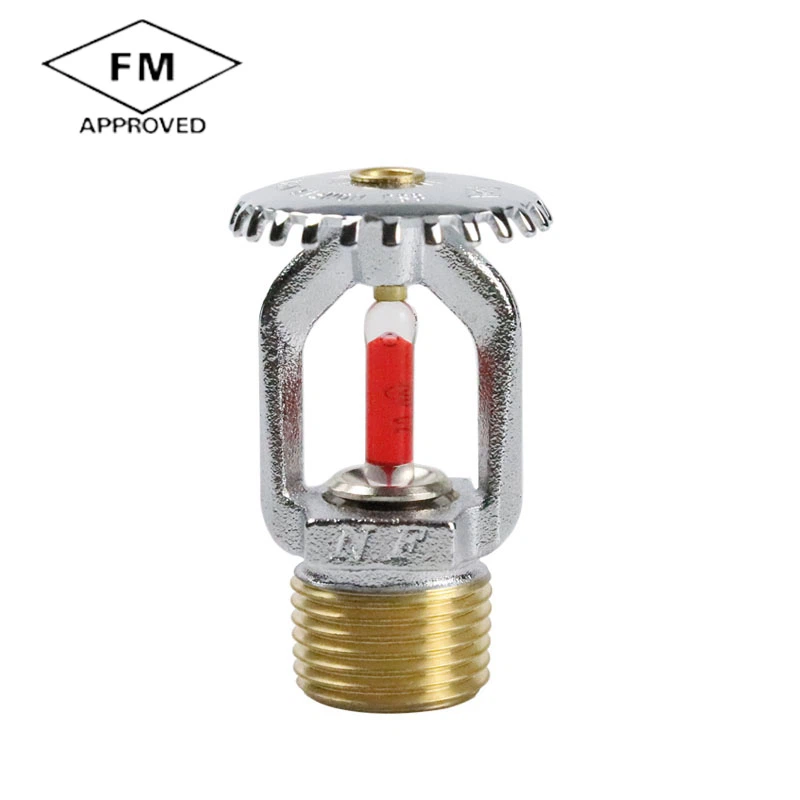 product-800-800